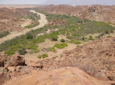 Los-rios-temporales-tambien-afectan-a-las-emisiones-globales-de-CO2_image_380-R9qVIS.jpg