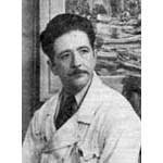 tortelo