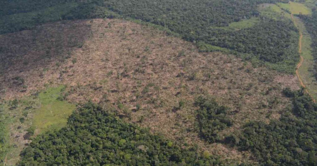 El Meta es uno de los tres departamentos en donde más registra deforestación en Colombia. Foto: Rodrigo Botero.