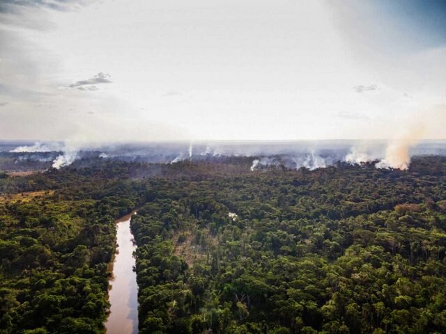 Incendios y deforestación afectan tierras indígenas en la Amazonia brasileña. Áreas protegidas y destinadas a los pueblos originarios también sufren la invasión de grupos que buscan adueñarse de tierras públicas y para eso destruyen la vegetación. Foto: Cícero Pedrosa Neto/Amazônia Real-Fotos Públicas