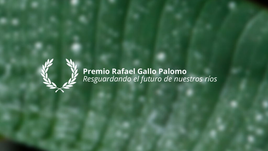 banner premio 2.png
