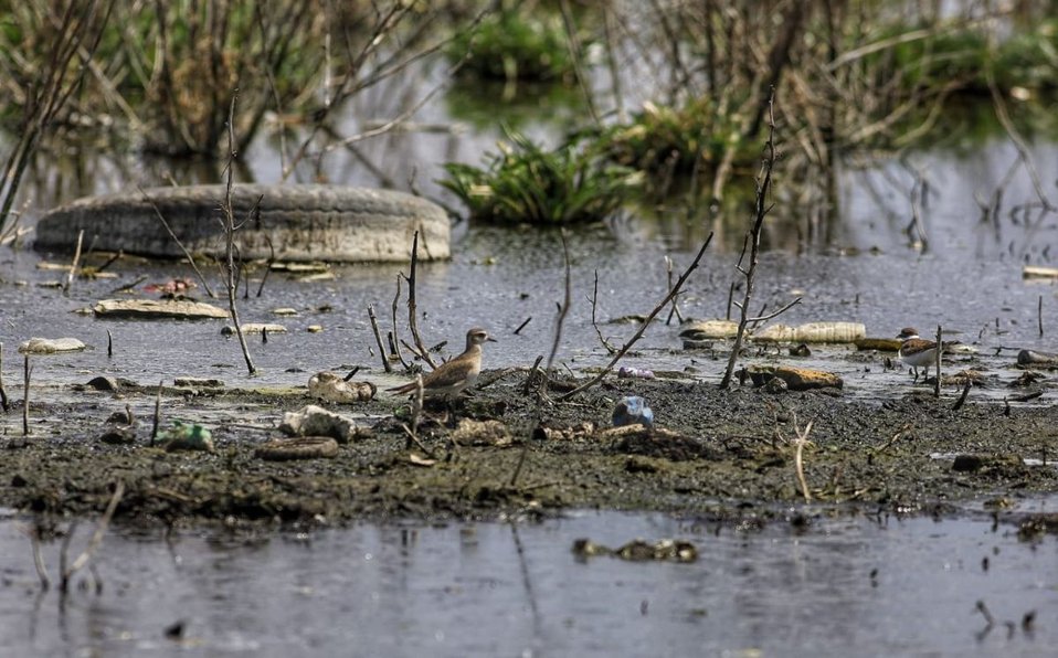 contaminacion-de-agua-en-puebla-VUZMC2.jpg