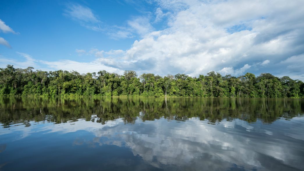 Resultado de imagen de Plan de Recuperación de Emergencia podría detener colapso catastrófico en la biodiversidad de agua dulce del mundo.