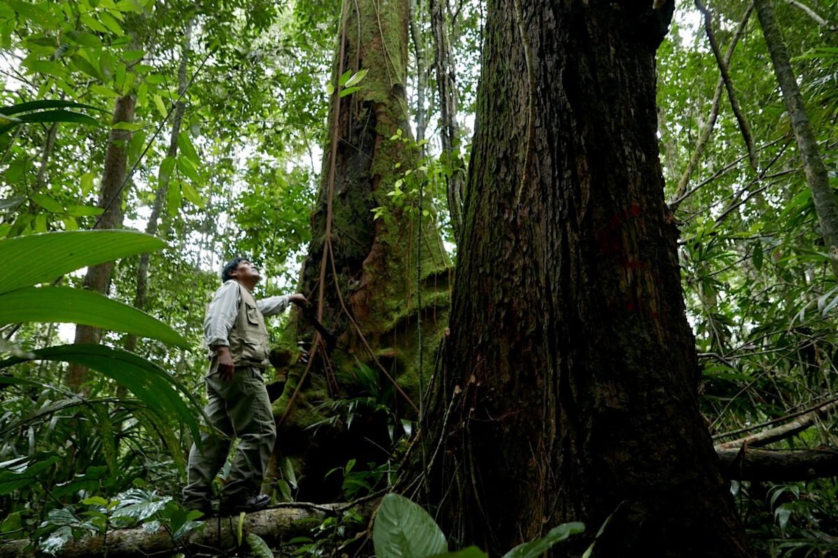 Demetrio Pacheco, padre de Roberto Carlos, asesinado en Madre de Dios. Foto: Jack Lo.