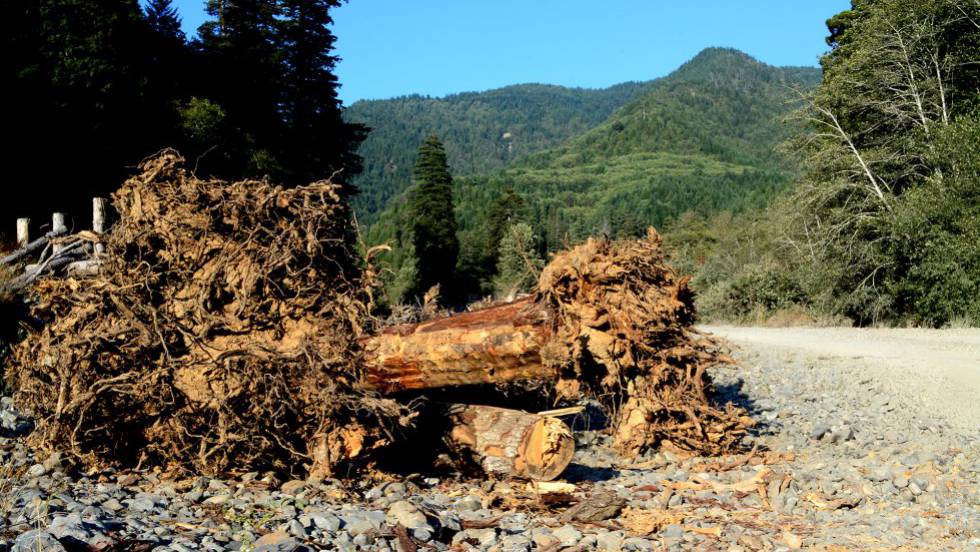 Afluente del rÃo Klamath, en California (EE UU).