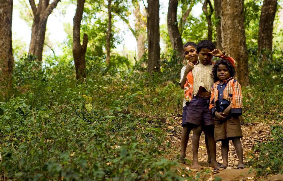 NiÃ±os soliga en un bosque dentro de una de las reservas de tigres de India.