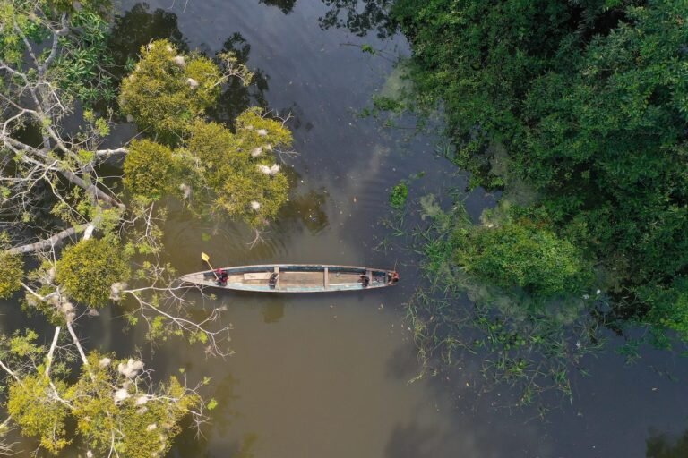Liz Chicaje ha sido galardonada por la defensa de los ríos y los bosques de la Amazonía peruana. Foto: Daniel Martinez.