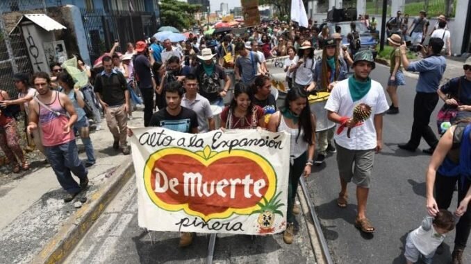 Foto de manifestantes contra la expansión del monocultivo de la piña en Costa Rica extraída de artículo titulado "Nuevo gobiernos, viejos piñeros" (Revista AgroEcologa, edición del 7/05/2018).