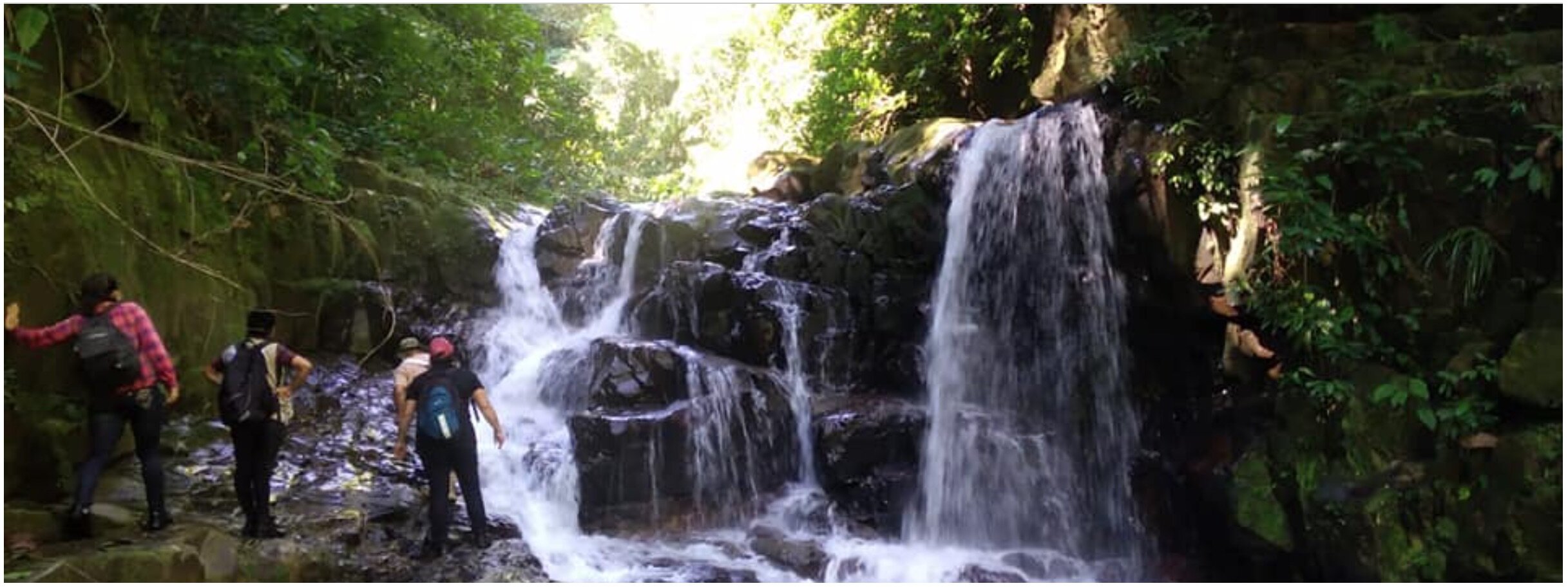 Parque Nacional Madidi. Foto: Radamir Sevillanos.