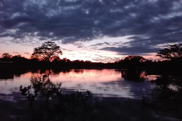 El director del Parque Nacional Madidi también fue removido de su cargo. Foto: Radamir Sevillanos.