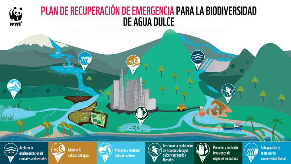Resultado de imagen de Plan de Recuperación de Emergencia podría detener colapso catastrófico en la biodiversidad de agua dulce del mundo.
