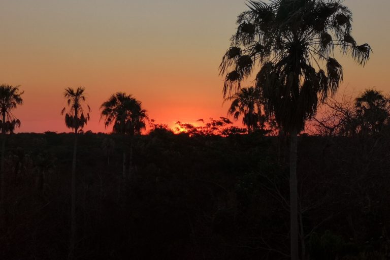incendios forestales Atardecer en el Chaco, Bolivia. Foto: Fundación Nativa.