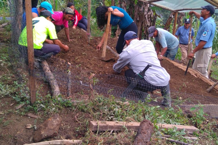 Actualmente 30 familias se vincularon a acuerdos de restauración participativa con Parques Nacionales y han instalado biodigestores, trampas de grasa y hornillas eficientes para disminuir la contaminación de las aguas y la explotación del bosque. También han destinado algunos de sus terrenos para la conservación. Foto: Claudia Acevedo / Parques Nacionales.