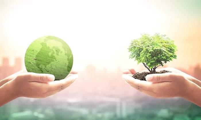 El mundo es más verde que hace 20 años