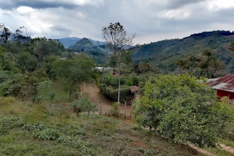 En los Farallones es posible observar diferentes formas de uso y ocupación debido a que colinda con las ciudades de Cali, Dagua, Jamundà y Buenaventura. En cada caso la cantidad y el tipo de habitantes son diferentes. Foto: Lorena González.