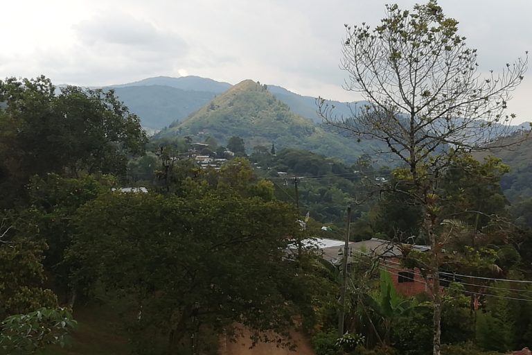 El Parque Nacional Natural Farallones es el área protegida continental más grande del suroccidente de Colombia. Alberga 540 especies de aves y es el lugar donde nacen más de 30 rÃos que abastecen esa región. Foto: Lorena González.