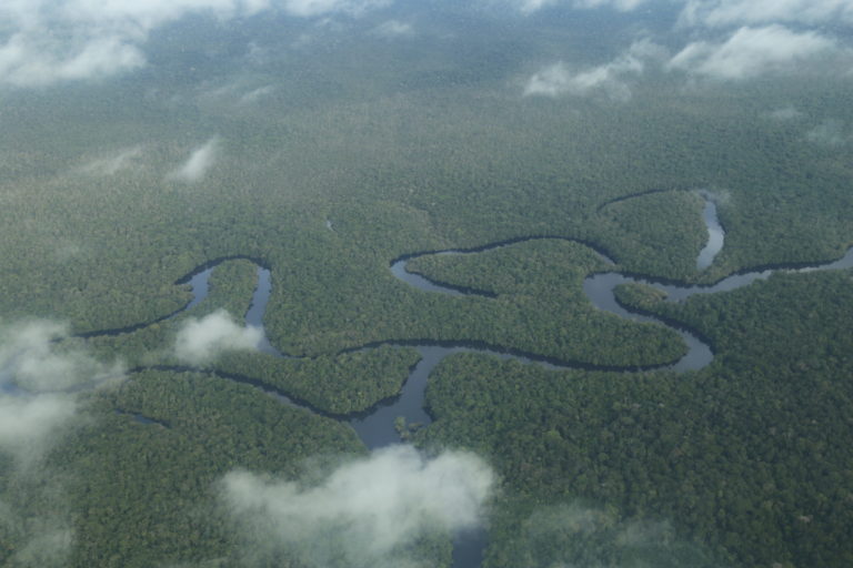 Resultado de imagen para El carbono negro en el río Amazonas, la huella que revela los recientes incendios forestales