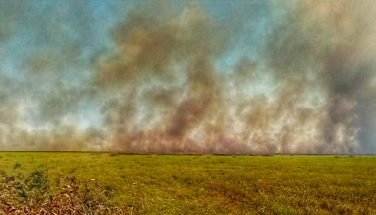 Incendio del 22 de julio en el Parque Nacional Otuquis. Foto: Alberto Bazán.
