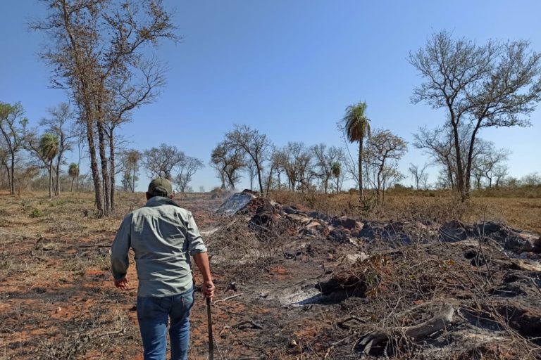Durante el primer trimestre, las zonas de calor se incrementaron este año en 35% en comparación con el 2019. Foto: Fundación Nativa.