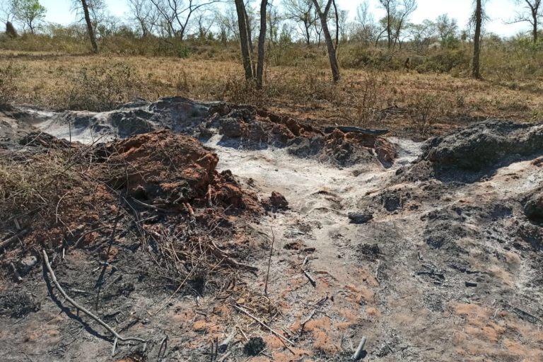 Los incendios forestales en Bolivia ya han arrasado alrededor de 100 mil hectáreas. Foto: Fundación Nativa.