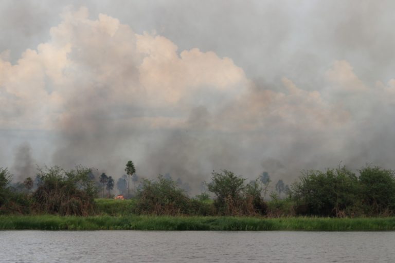 Incendio forestal en la ribera del río Paraguay. Foto: Tati Gallupi / Guyra Paraguay.