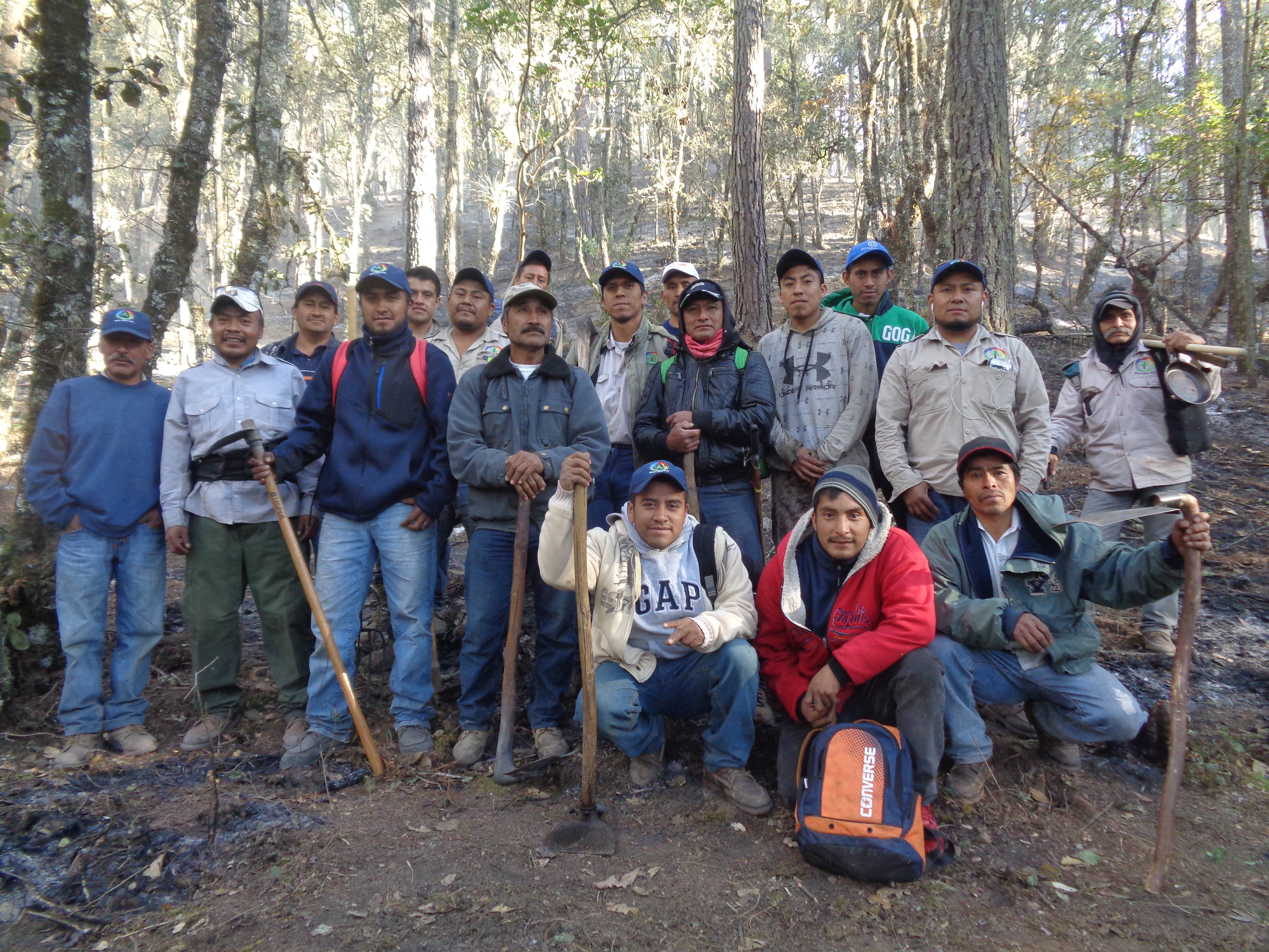Ixtlán-MFC-Oaxaca