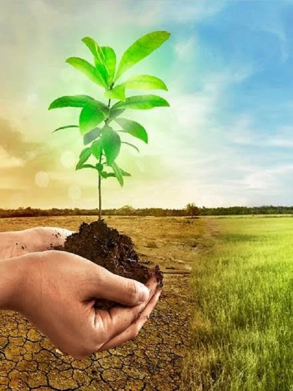 Día Mundial del Medio Ambiente, este año con sede en la India