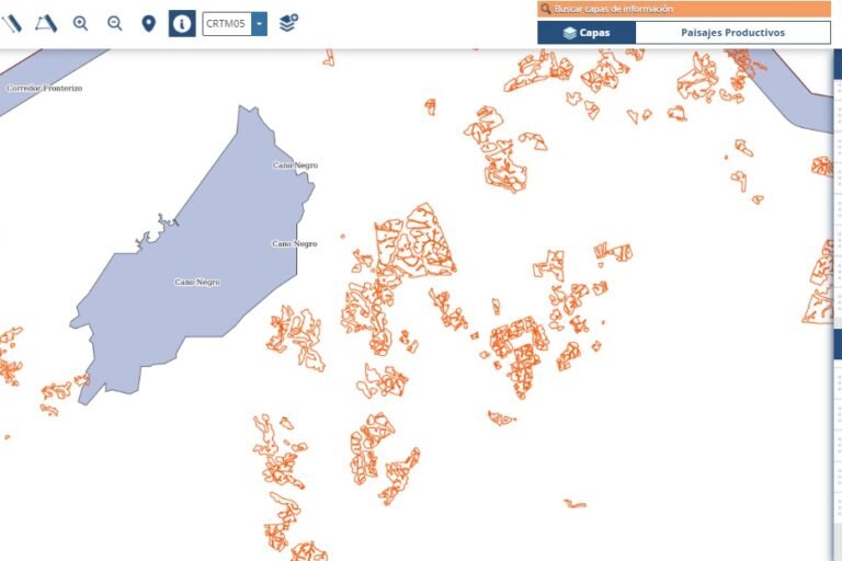 Cultivos de piña alrededor y dentro del Refugio de Vida Silvestre Caño Negro en 2019. Información del Sistema Nacional de Información Territorial (SNIT).