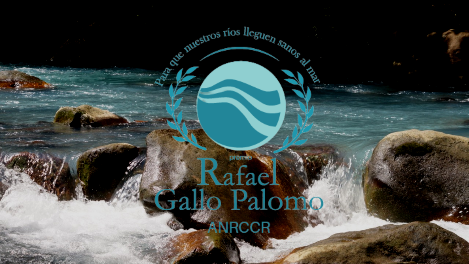 Premio.png