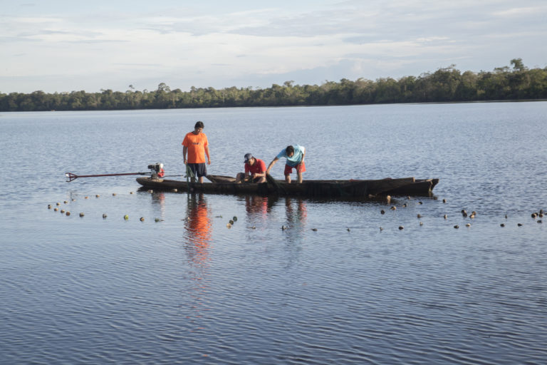La Hidrovía Amazónica recorrerá los ríos Ucayali, Marañon, Huallaga y Amazonas. Foto: DAR.