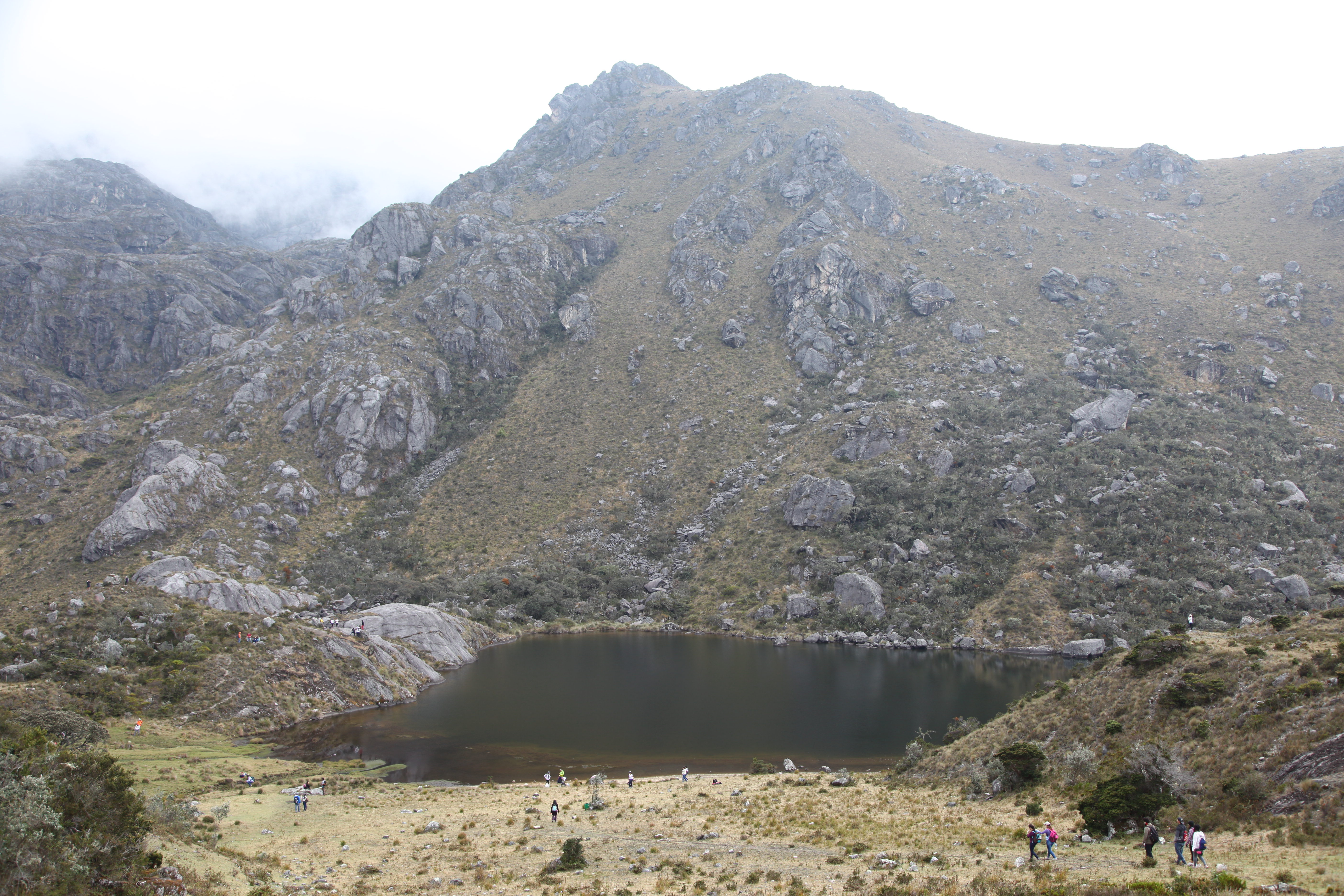 Páramo de Santurbán (departamentos de Santander y Norte de Santander). Foto: Agencia de comunicación CONSTRUYENDO REGIÃN.