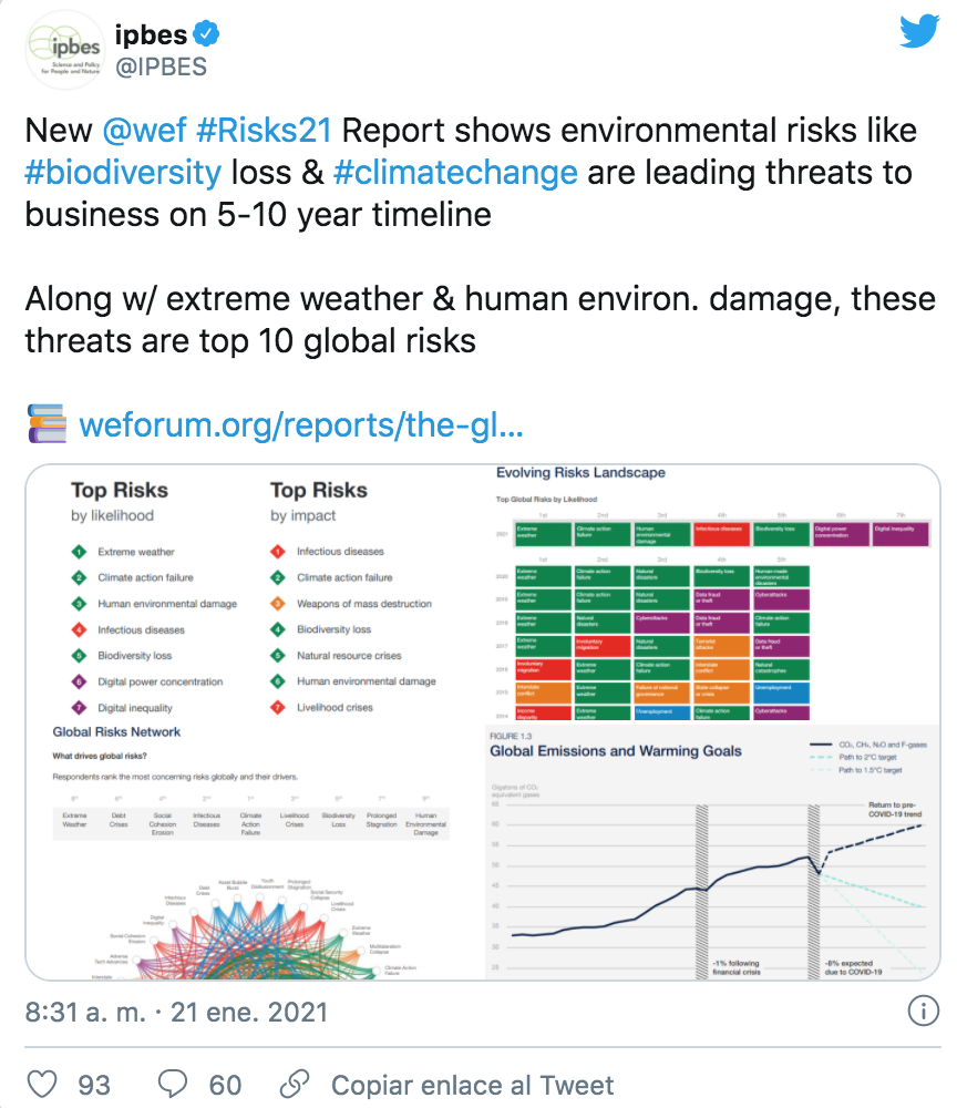 Screen Shot 2021-01-30 at 9.02.19 PM.png