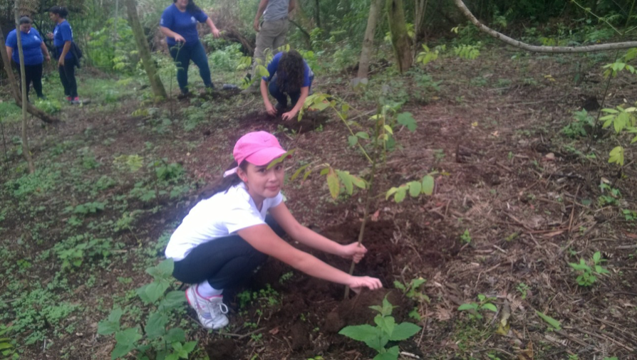 Campaña de reforestación organizada por la Asociación Ambiental SULA. 