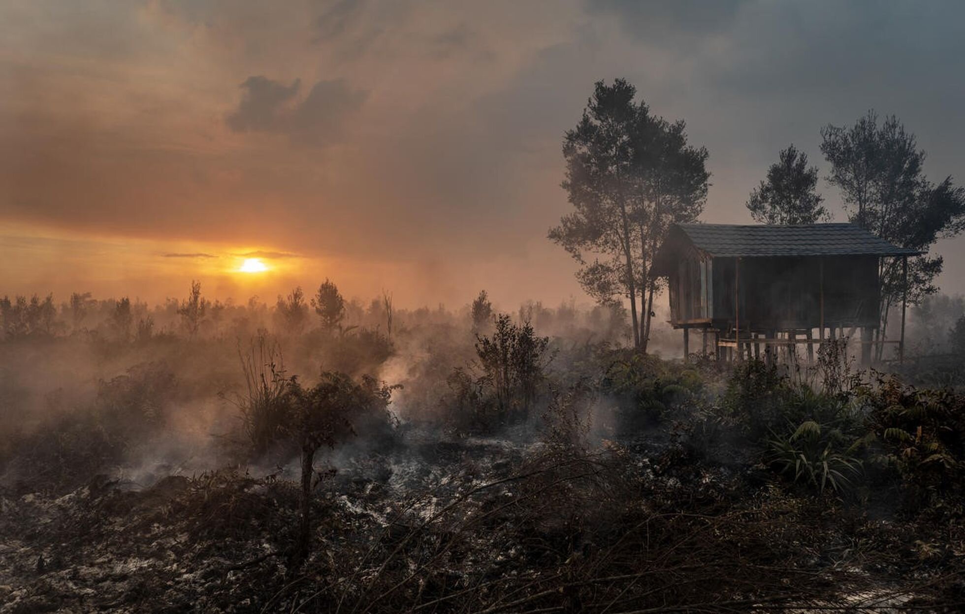 El humo se eleva durante los incendios de bosques y plantaciones en Tanjung Taruna, subdistrito de Jabiren Raya, en Kalimantan Central, Indonesia.ULET IFANSASTI / GREENPEACE