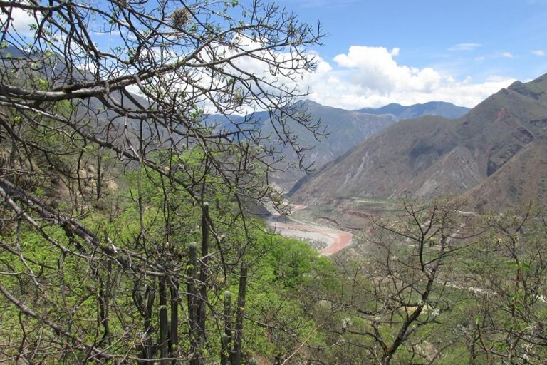 bosque-seco-768x512.jpg
