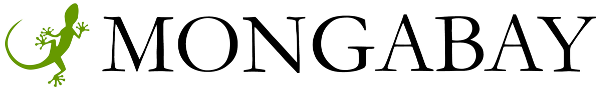 Resultado de imagen para mongabay logo