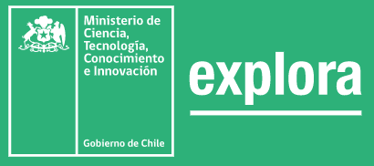 ministerio.chile