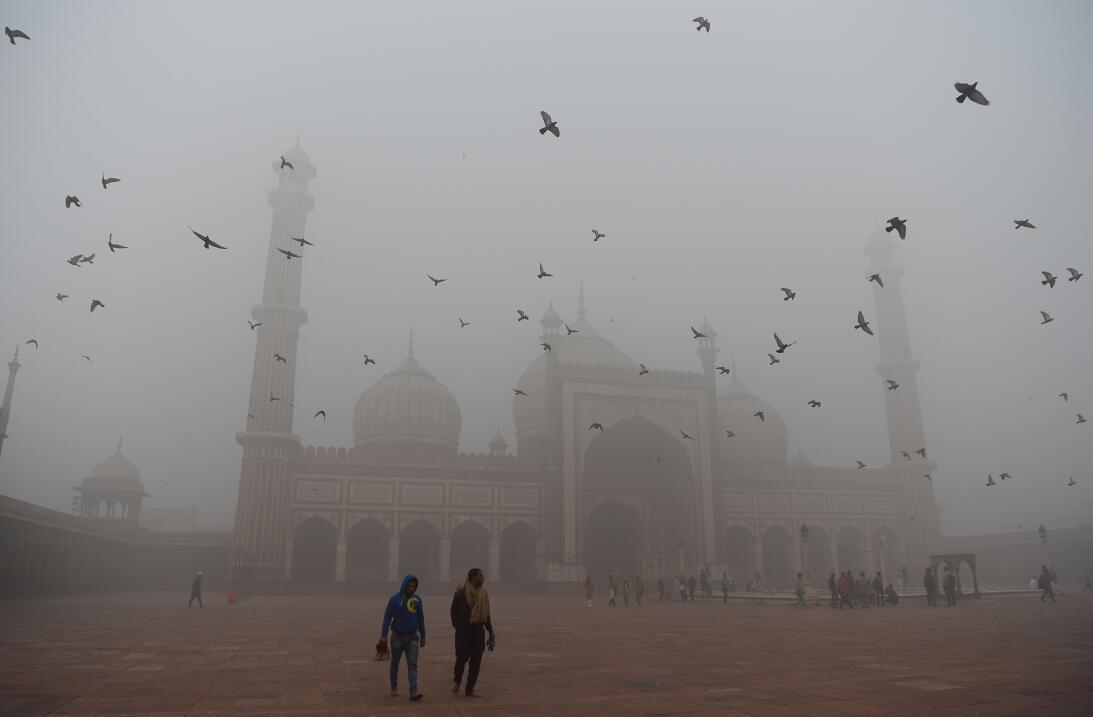 Resultado de imagen para capa gris en nueva delhi